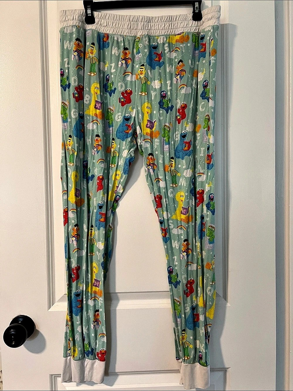 Little Sleepies Sesame Street Pajama Joggers - XL